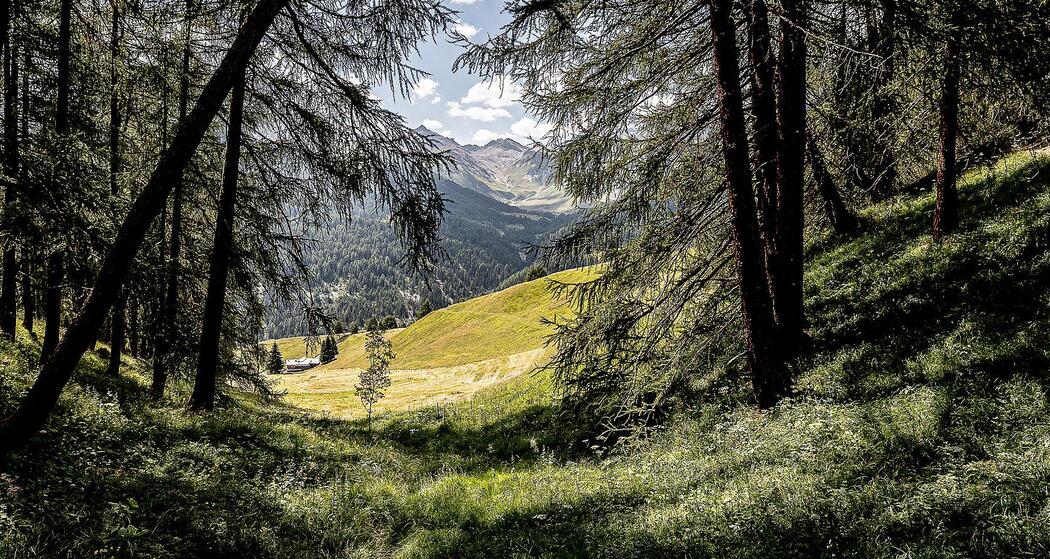 Senda da Muglin Bike: Sent – Vnà – Sur En – Sent (448) (oua_614945866_image)