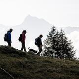 Senda Piz Clünas: Ftan, Prui – Piz Clünas – Ftan, Prui (660) (oua_614945917_image)