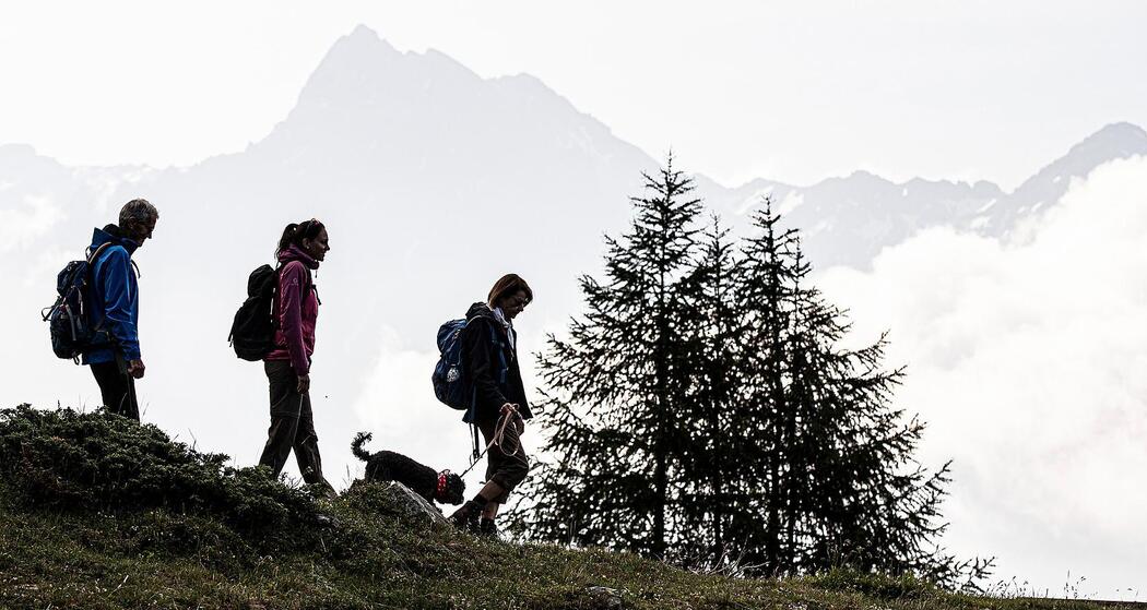 Senda Piz Clünas: Ftan, Prui – Piz Clünas – Ftan, Prui (660) (oua_614945917_image)