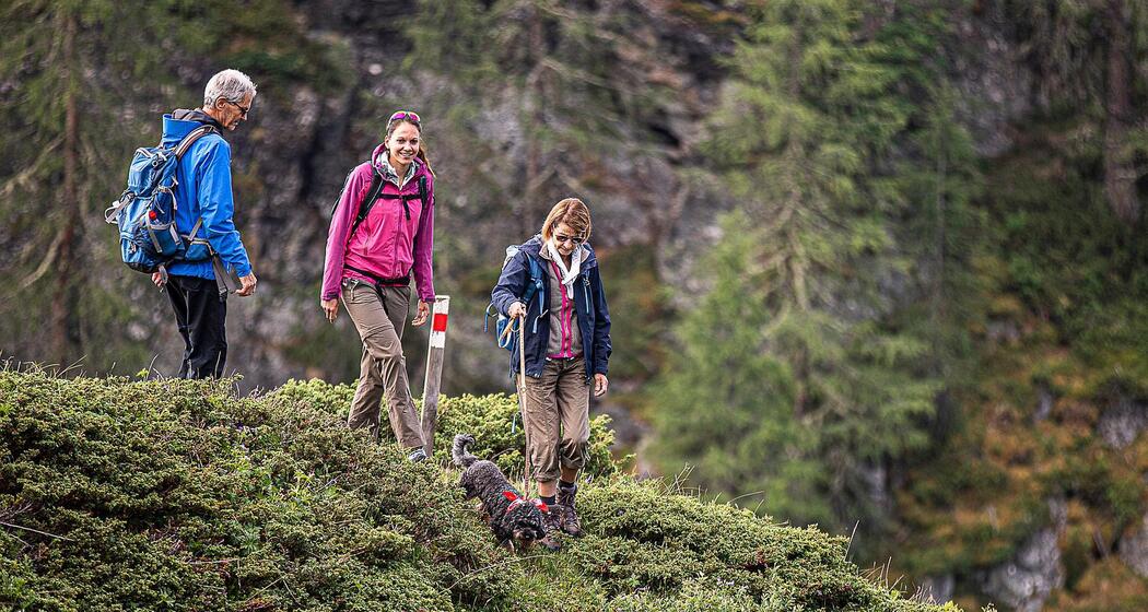 Senda Piz Clünas: Ftan, Prui – Piz Clünas – Ftan, Prui (660) (oua_614945918_image)