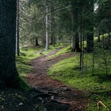 Innerferrera - Campsut - Avers