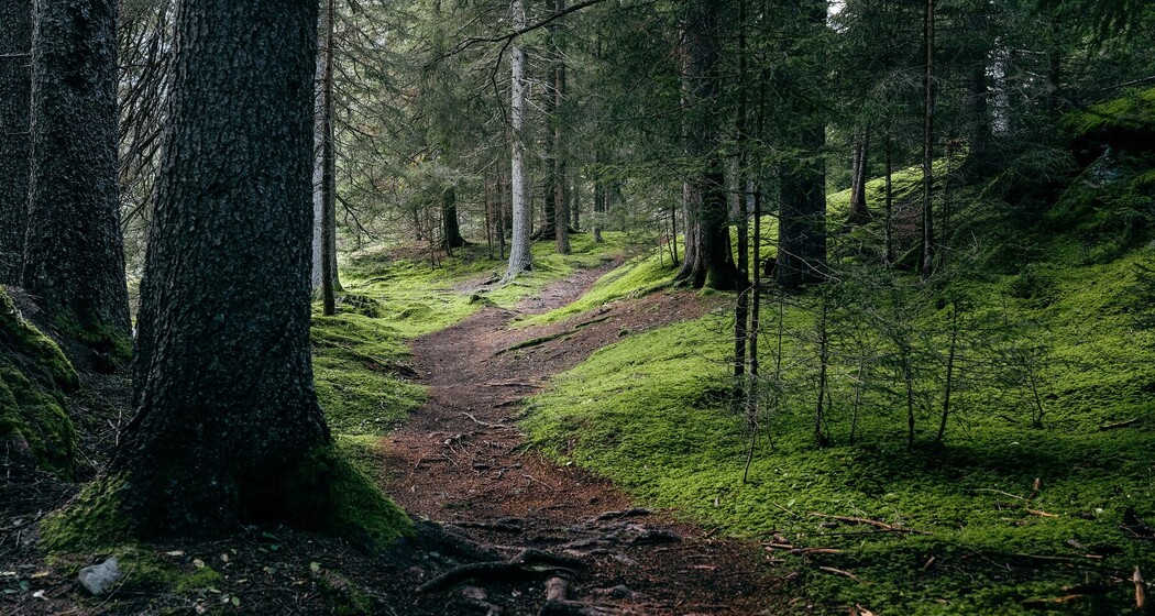 Innerferrera - Campsut - Avers