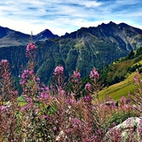 Fair Trail Alp Trida – Laret (oua_615199681_image)