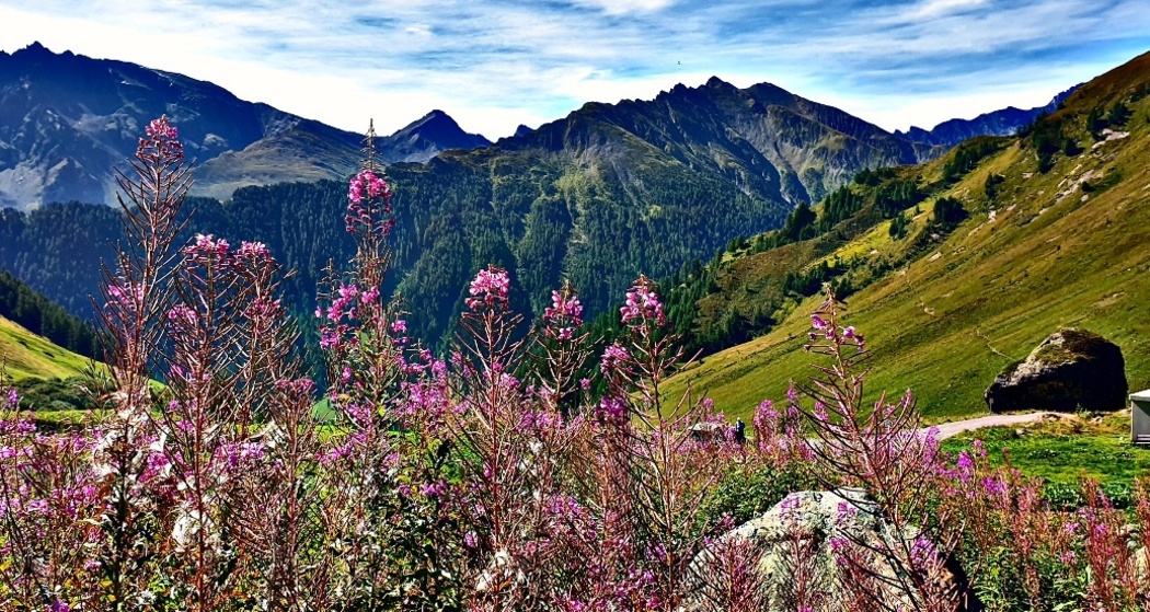 Fair Trail Alp Trida – Laret (oua_615199681_image)