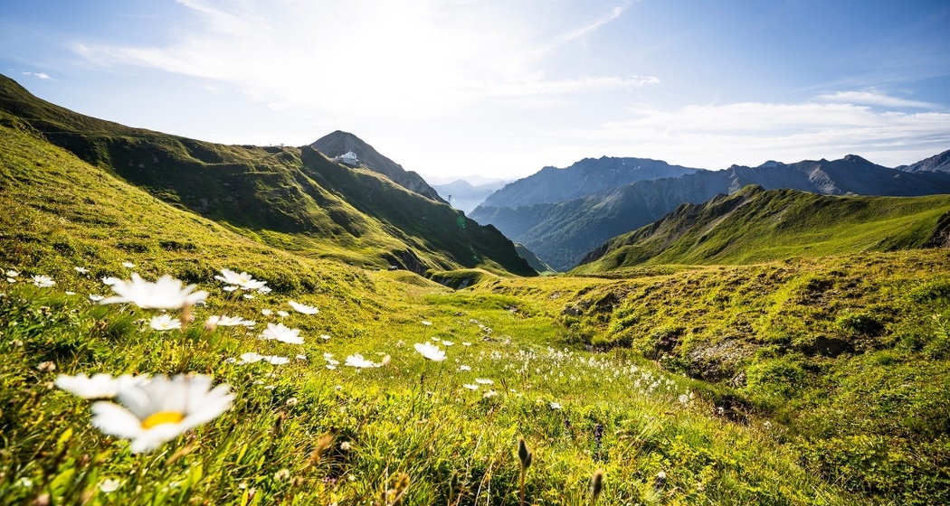 Fair Trail Chavra (oua_615201052_image)