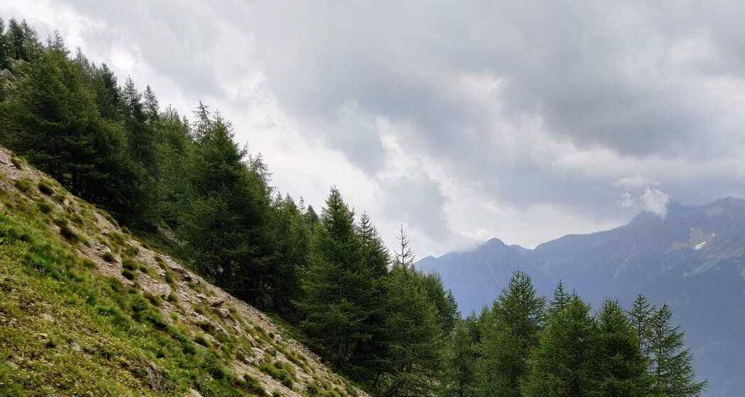 Sentiero Botanico Sassalbo