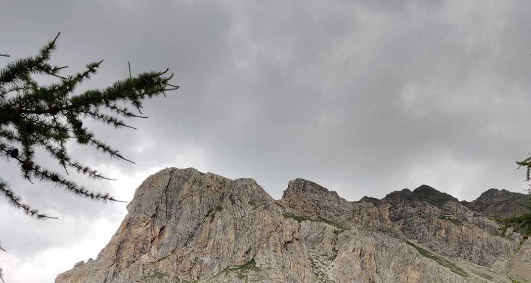 Sentiero Botanico Sassalbo