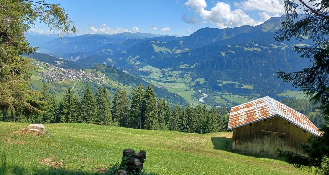 Trailrun: Ladir - Alp Muota - Falera (oua_61526354_image)