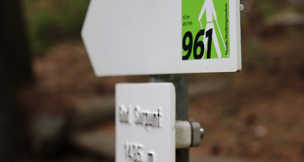 Wegweiser Nordic Walking Tour 961