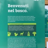 Sentiero “Diversità Forestale” – Un viaggio nella biodiversità alpina di San Bernardino (oua_615567627_image)