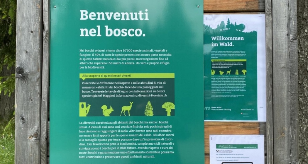 Sentiero “Diversità Forestale” – Un viaggio nella biodiversità alpina di San Bernardino (oua_615567627_image)