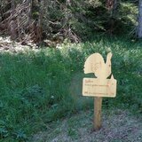 Sentiero “Diversità Forestale” – Un viaggio nella biodiversità alpina di San Bernardino (oua_615567628_image)