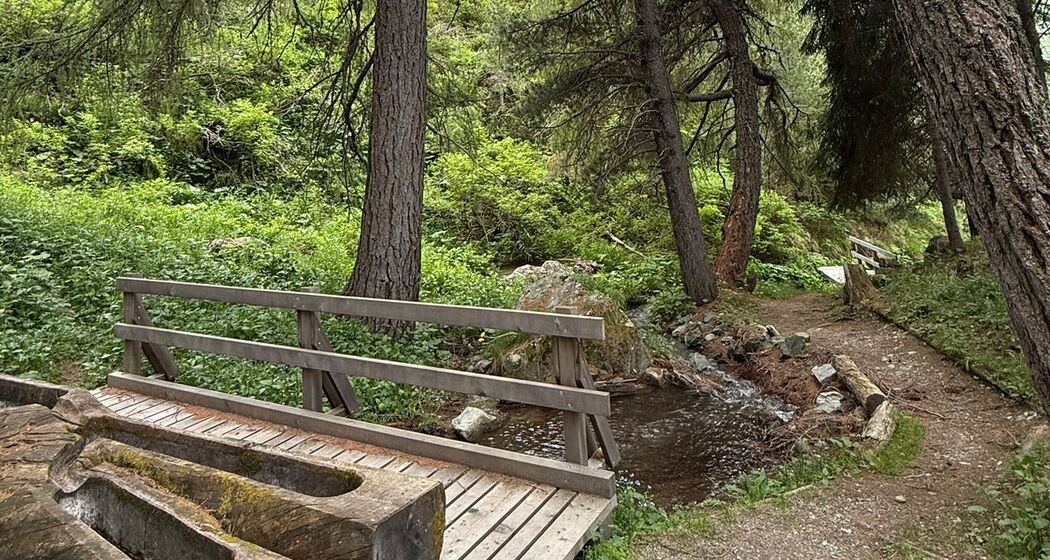 Grillstelle La Foppa (oua_615616694_image)