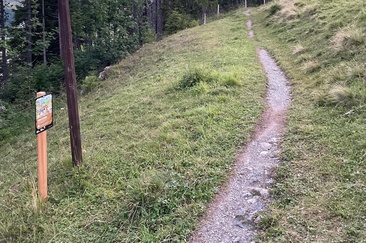 Treasure Station Bear Bike Treasure Hunt (black)