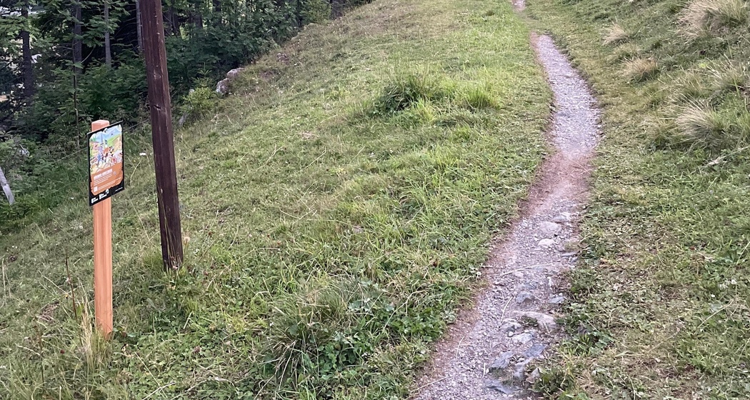 Schatzstation Bärenbike-Schatzsuche (schwarz)