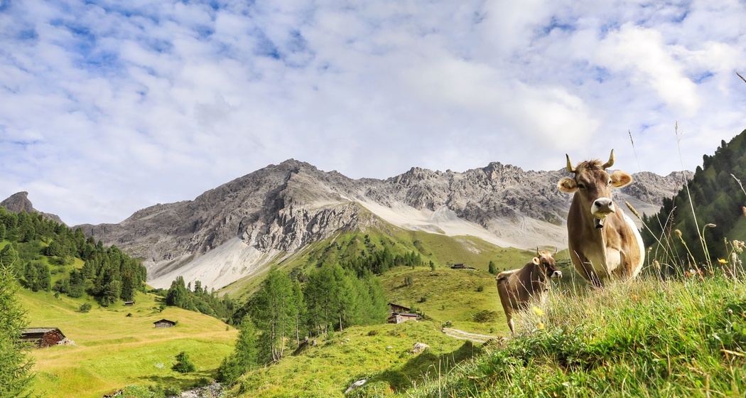Monsteiner Bierpfad (oua_61585719_image)