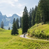 Wildmannli-Bike (oua_616198427_image)