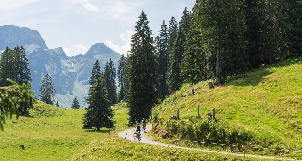 Wildmannli-Bike (oua_616198427_image)