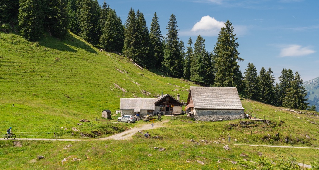 Wildmannli-Bike (oua_616198428_image)