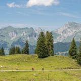 Wildmannli-Bike (oua_616198429_image)