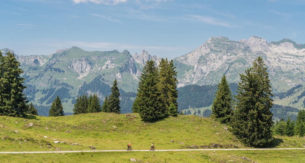 Wildmannli-Bike (oua_616198429_image)