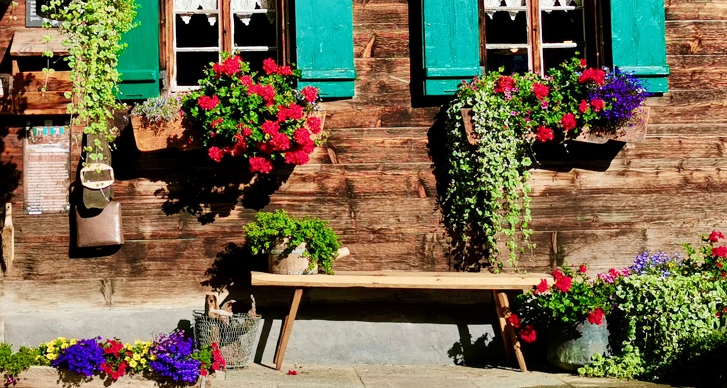 E-Bike: Sapün-Rundfahrt (oua_617127495_image)