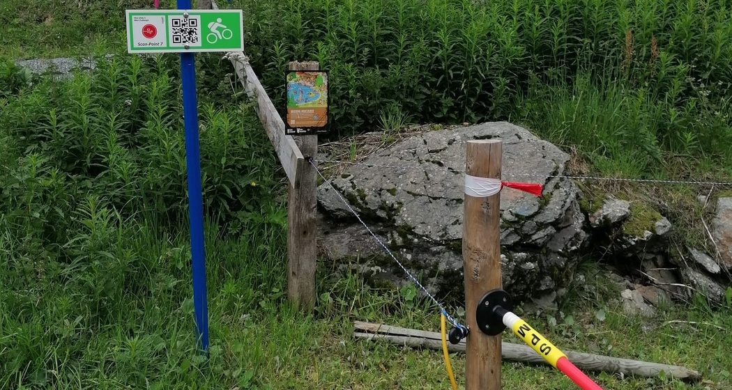Schatzstation unterer Teil Hörnli Trail (Bärenbike-Schatzsuche blau, rot)