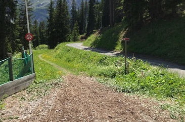 Treasure station toboggan run (bear bike treasure hunt)