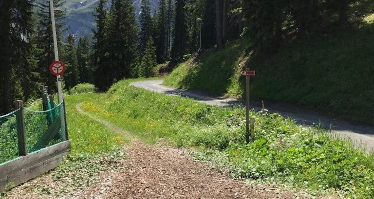Schatzstation Schlittelpiste (Bärenbike-Schatzsuche)