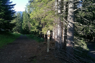 Treasure Station Home Ride (chasse au trésor à vélo de l’ours)