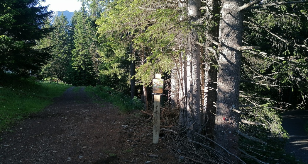 Schatzstation Heimfahrtspiste (Bärenbike-Schatzsuche)