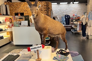 +gitti (oua_617197101_image)