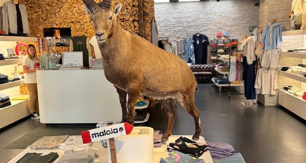 +gitti (oua_617197101_image)