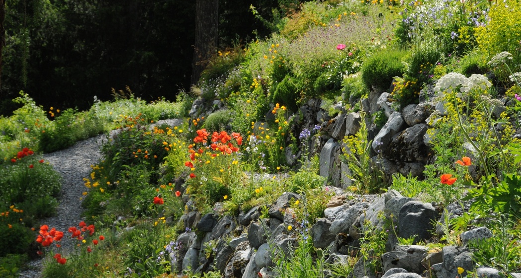 Alpinum Schatzalp (oua_617295713_image)