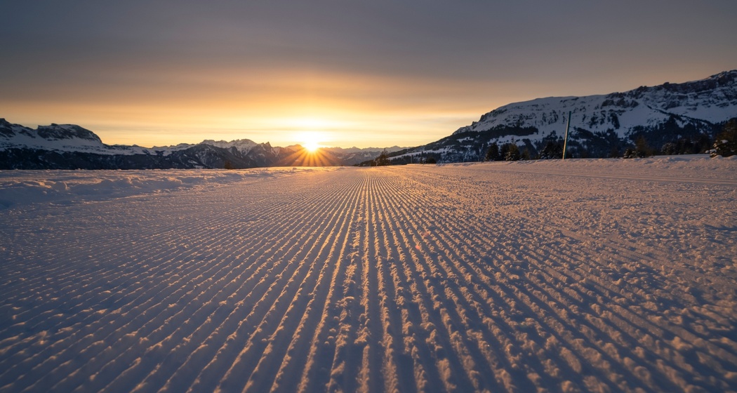 Tannenboden - Prodalp (oua_617544172_image)