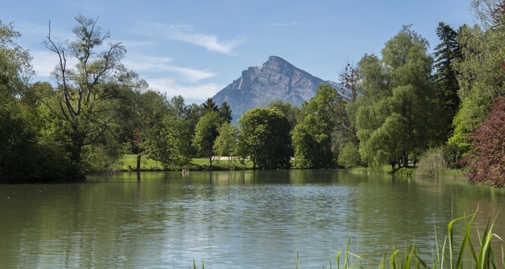 Giessenpark & Giessensee (oua_618454793_image)