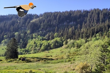 Naturpfad Crapparundweg (oua_618533631_image)