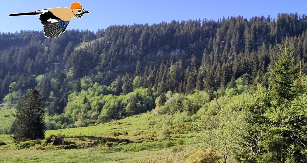 Naturpfad Crapparundweg (oua_618533631_image)