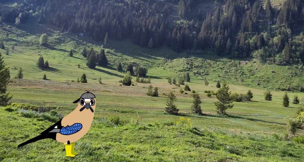 Naturpfad Crapparundweg (oua_618533632_image)