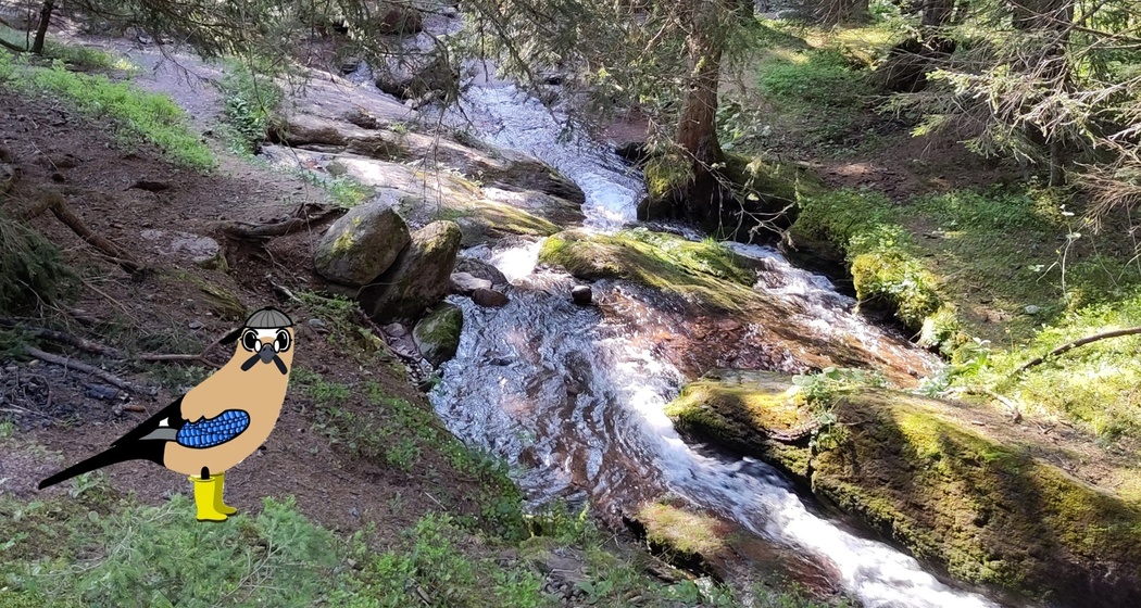 Naturpfad Crapparundweg (oua_618533633_image)