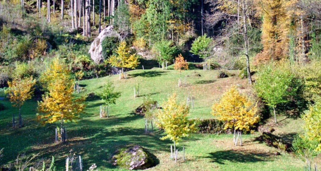 Naturpfad Kastaniendorf (oua_618878664_image)