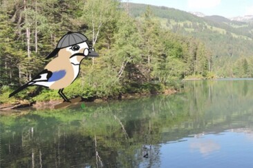 Naturpfad Chapfensee (oua_618878690_image)