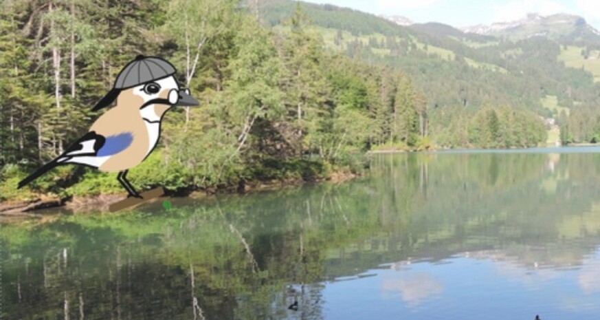 Naturpfad Chapfensee (oua_618878690_image)