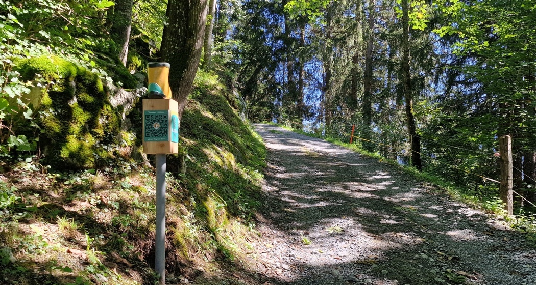 Infopfosten oberhalb Salens