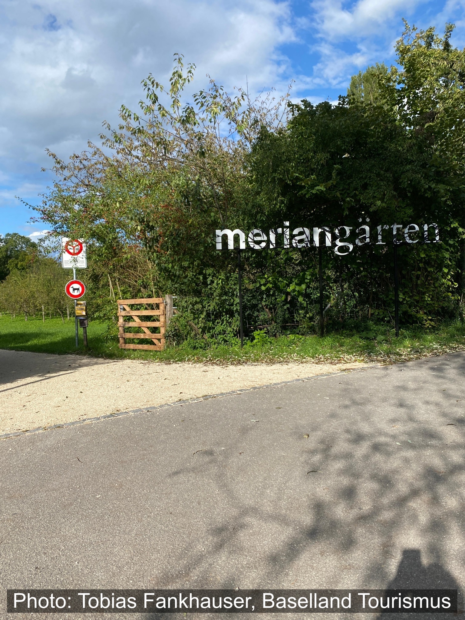 Barrierefreie Tour: durchs Blumenmeer der Merian Gärten
