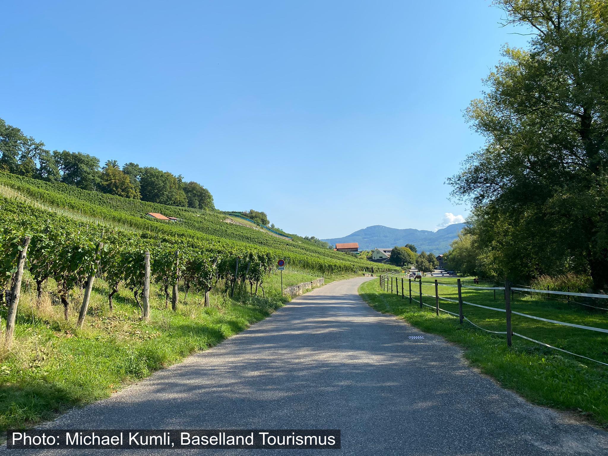 Weinwanderweg Aesch