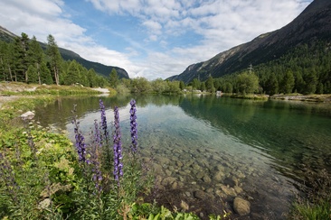 The Lake of Lej Aratsch (oua_620271055_image)