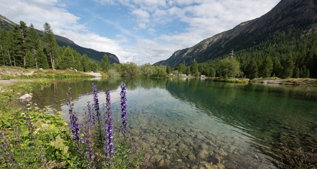 Badesee Lej Aratsch (oua_620271055_image)