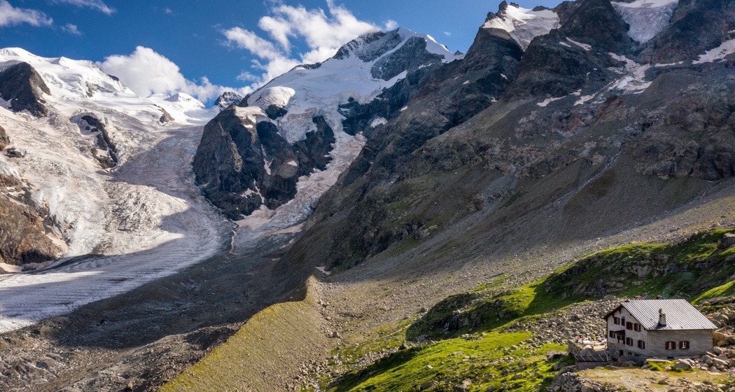 Chamanna Boval SAC (oua_620271096_image)