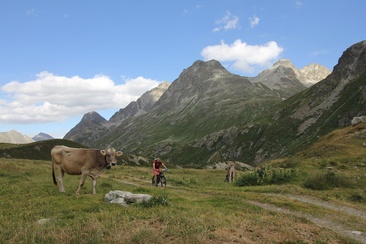 Chamanna Jenatsch SAC (oua_620271102_image)